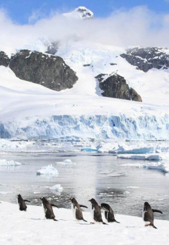 Hurtigruten - Ms Roald Amundsen - Fighting mass tourism.jpg